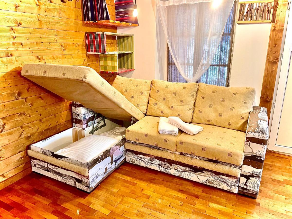 布拉索夫Apartament Rustic In Centrul Istoric公寓 外观 照片